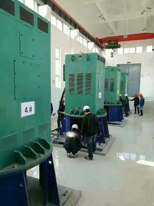 YRKK6304-12某污水处理厂使用我厂的立式高压电机安装现场