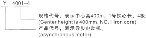 西安泰富西玛Y系列(H355-1000)高压YRKK6304-12三相异步电机型号说明